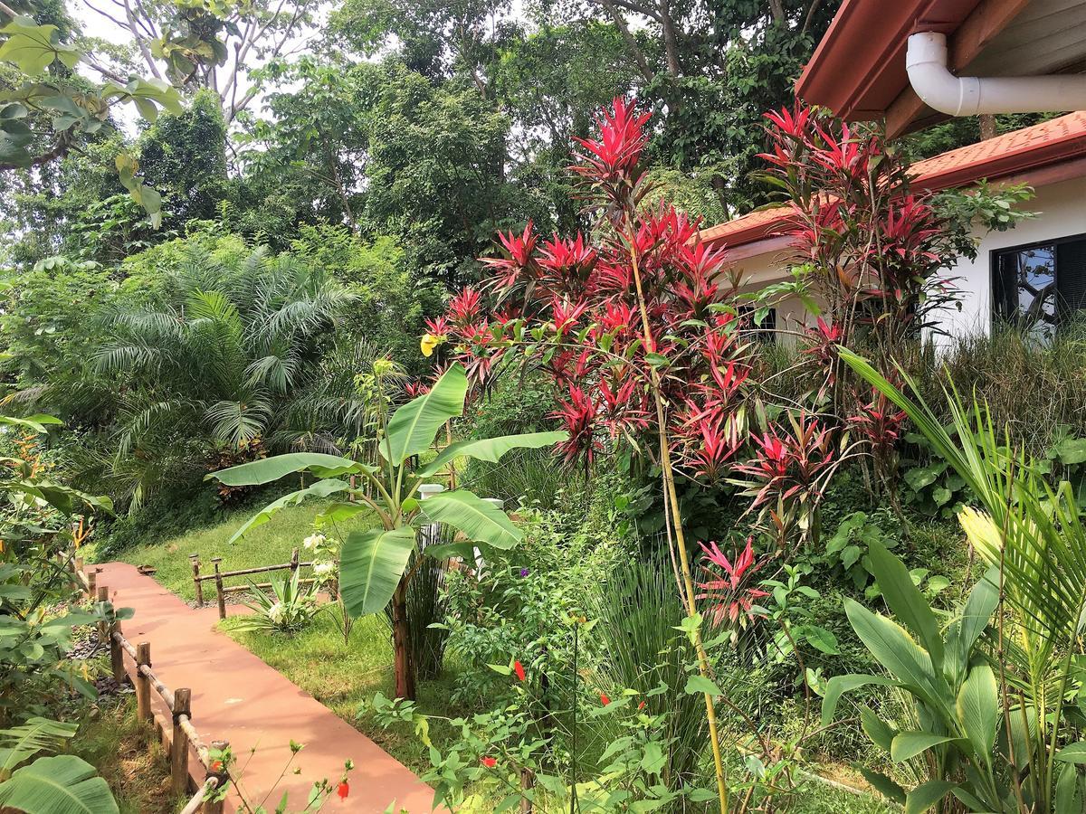 Casa Del Toucan Доминикаль Экстерьер фото